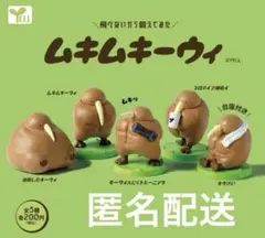 飛べないから鍛えてみた ムキムキーウィ 全5種コンプセット