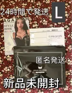 新品未開封AGARISM×GYDA アップミースタイリングブラ L 1枚 xu