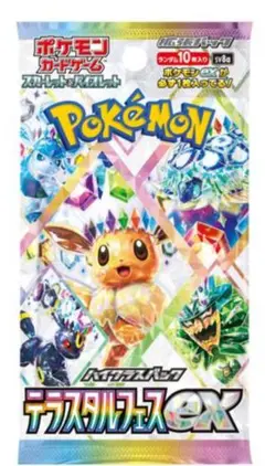 ポケモンカードゲーム デラスティルフェイスEX　バラパック×2 おまけ付き