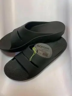 Item thumbnail for item cc6633fb-d6dc-480c-a68c-c9fd4a304dbf