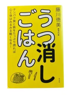 うつ消しごはん 藤川徳美著