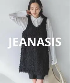【新品タグ付き】 JEANASIS ジーナシス　ツイストフェザーヤーン NS