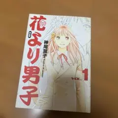 花より男子 [神尾葉子] 完全版 1〜20巻 [全巻] 花より男子(だんご) 完全版 コミック 全20巻完結セット (集英社