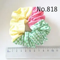 818 シュシュ