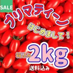 金曜日発送 プリマティーノ2kg箱込み フルーツトマト