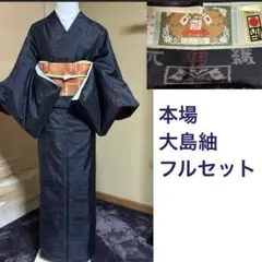 Item thumbnail for item 138b277b-0082-4385-a557-71f3264b3197