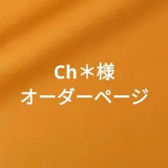 Ch＊様オーダーページ　インザループ18用バッグインバッグ