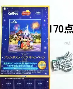 カルビー ファンタスティックキャンペーン 応募券 170点 ハガキ1枚☆懸賞