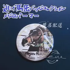 逃げ馬缶バッジコレクション メジロパーマー 有馬記念