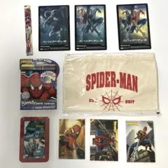 【特別セット】スパイダーマン※全て未開封