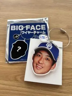 中日ドラゴンズ BIG FACE ワイヤーチャーム　田中幹也