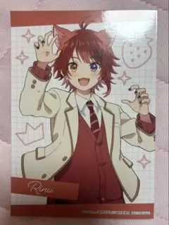 Rinu アクリルチャーム バッジ セット 欲張りセット