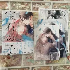 宝石の子 / 丹野ちくわぶ　コミコミ特典付き