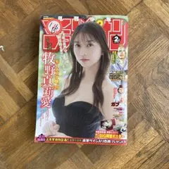 月刊少年マガジン 2025年2月