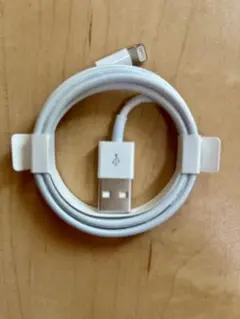 USB to Lightning 充電ケーブル ホワイト
