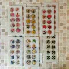 押し花のシール セット