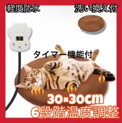 Item thumbnail for item 3f321d1f-0588-4530-8b47-7cd55bbd862b