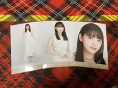 【11月22日23:59まで】乃木坂46 生写真 堀未央奈 しあわせの保護色