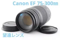 Item thumbnail for item 4d2533e8-2fa9-443f-a10a-b7bc2dd00f9e