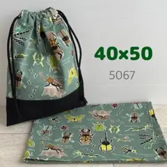 給食セット★昆虫図鑑・グリーン★40×50小学校ランチョンマット＆給食袋