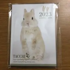 スケジュール帳