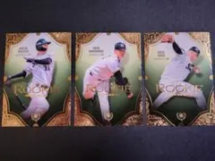 Item thumbnail for item d145fb3f-2455-4967-8c38-6a8545d0d931