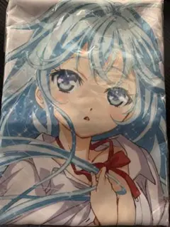 アニメイト全巻購入特典 電波女と青春男 藤和エリオ 抱き枕カバー 電波女と青春男