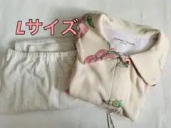 Item thumbnail for item 6638178f-9305-4dac-82fc-15c958a62155