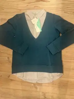 Item thumbnail for item 52a9519b-05c0-47f7-bd96-2a96812f10fd