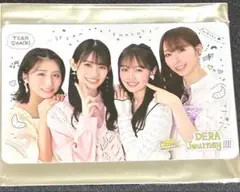 TEAM SHACHI 「DERA Journey!!!!」Mカード　集合
