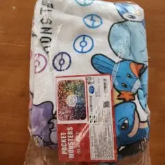 ポケモン ブランケット POCKET MONSTER BLANKET カラフル