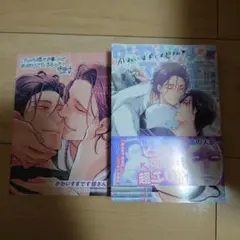 BL※即購入不可