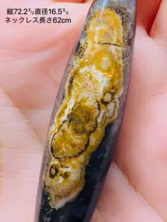 如意老天珠 縦72.2㍉ 蒙天珠 天珠 自然に作られた天珠 老鉱天珠 天珠