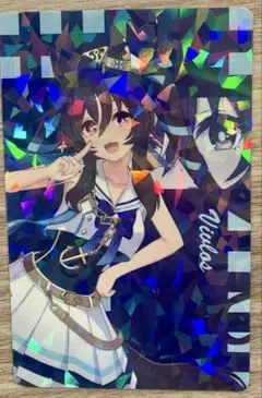 ウマ娘 ヴィブロス ヴィルシーナ スリーブ 2個セット 白詰草 ウマ娘』ヴィルシーナ、ヴィブロス、ロイスアンドロイスの勝負服