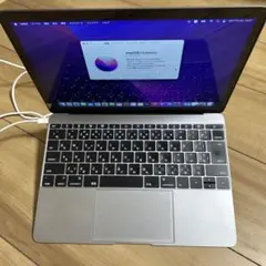 MacBook Early 2016 12インチ A1534 SSD 500