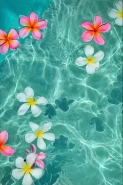 yu専用