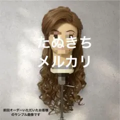 魔法にかけられてジゼル風ウィッグ【1日〜2日発送】