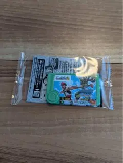 スペシャルフレンダピック黄色いメガルカリオ　ポケモンメガスタンプラリー2025