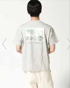 新品　BANANA REPUBLIC 日本限定 グラフィックTシャツ　M