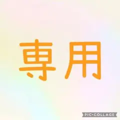 専用。