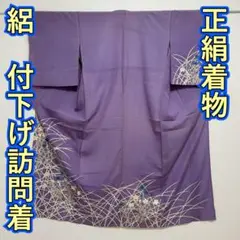 KP2178 絽 付下げ訪問着 身丈149cm 夏着物 正絹