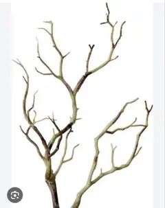 Item thumbnail for item 3419d476-83fe-453c-932d-99645543e08a