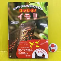 日本のいきものビジュアルガイド はっけん! イモリ