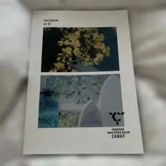 SEVENTEEN ファンクラブ　CARAT magazine vol.12