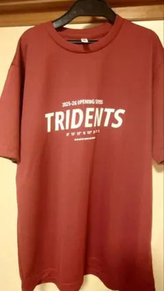 Item thumbnail for item 0df976e5-3afb-4cfe-bf7d-0ce6ac20ed39