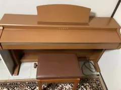 2025年最新】KAWAI 電子ピアノ CN23の人気アイテム - メルカリ