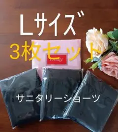 シャルレポケット付きサニタリーショーツLサイズ3枚セット入荷したて未開封激安！