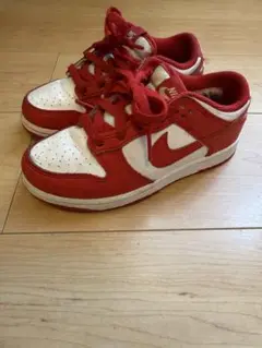 NIKE DUNK KIDS 19cm
