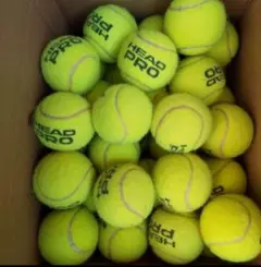 HEAD PRO テニスボール 60個セット
