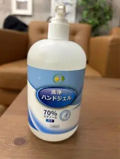 洗浄タイプハンド ジェル 500ml 24本セット